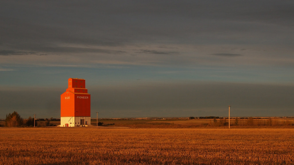 The historic Olds Grain Elevator at sunset