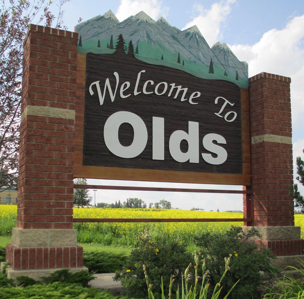 Welcome to Olds sign with canola fields in summer